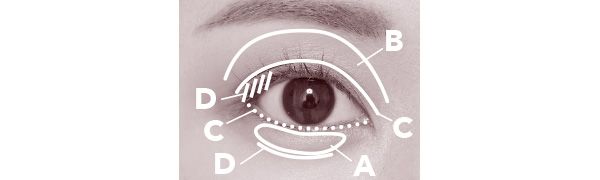 コスメデコルテ スキンシャドウ デザイニング パレット 05 how to