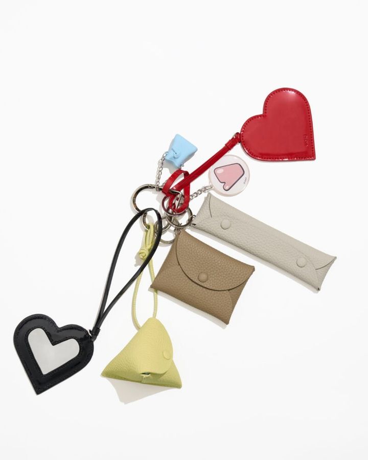 VASIC Chaem Set イメージ