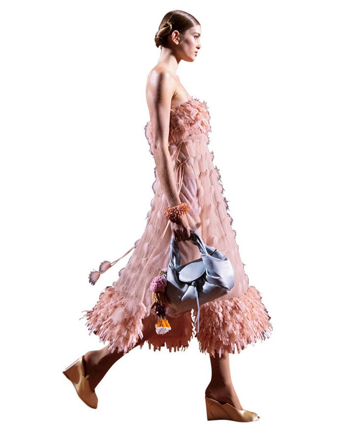 スターブランド フェンディ