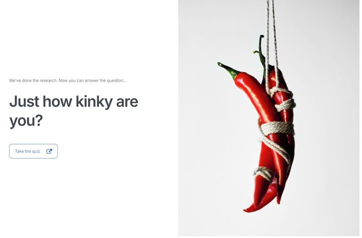 テストを受けるには青いボタンをクリックします。Google翻訳などで事前にページごと翻訳しておくと便利です