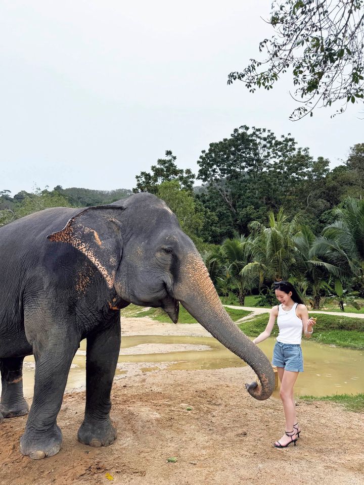 なごみの夏の思い出