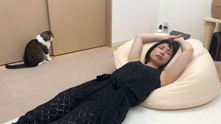 ママに起きて欲しい猫