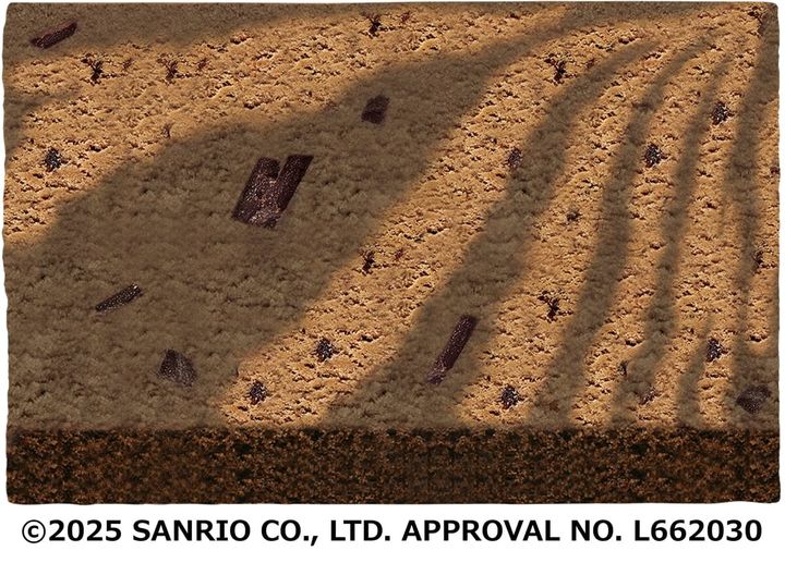 バッドばつ丸：ダークチョコビッツ入りチョコレート×チョップドチョコレート（チョコレートスポンジ）