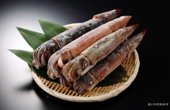 “小木港のするめいか”について