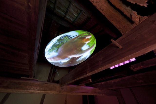 ピピロッティ・リスト「あなたの最初の色〈私の頭の中の解―私の胃の中の溶液〉