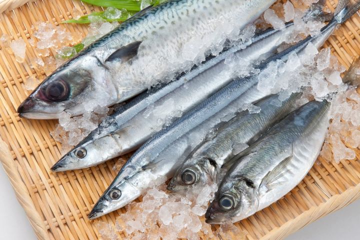 魚の調理時に注意すべき食中毒は？（画像はイメージ）