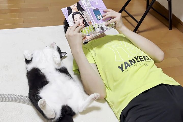 漫画を読む猫