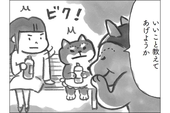 無理して笑顔は疲れるだけ…柴犬おかみさん直伝！合わない人との関わり方【柴犬食堂 #19】