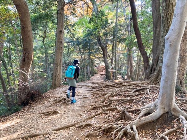 【東京都八王子市】高尾山で環境ワークショップツアー開催！南極観測隊の経験者・山口直子講師と学ぼう