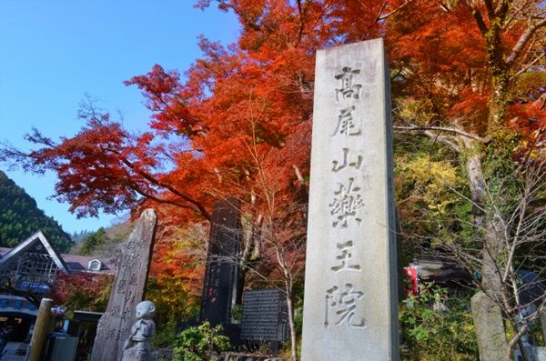 【東京都八王子市】高尾山で環境ワークショップツアー開催！南極観測隊の経験者・山口直子講師と学ぼう