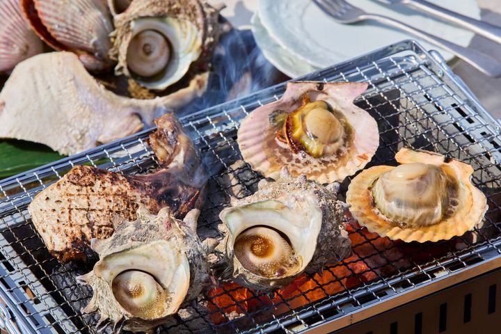 ぶりカマ・ヒオウギ貝・サザエ