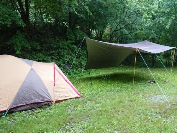 驚愕の980円！コスパ最強のワークマンTシャツの神すぎる機能性とは？