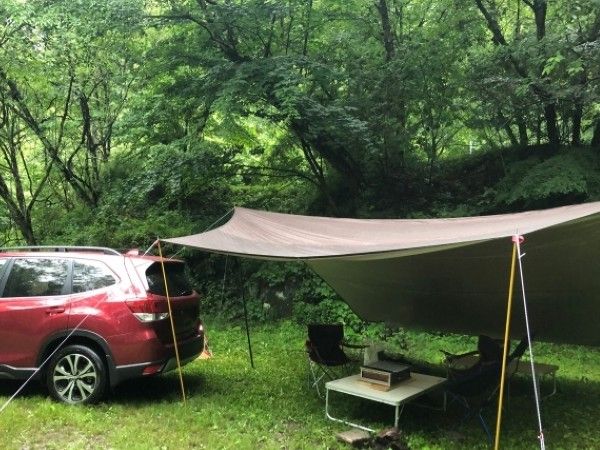 驚愕の980円！コスパ最強のワークマンTシャツの神すぎる機能性とは？