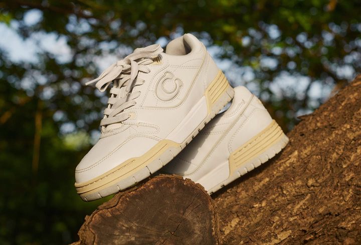 コーチ スニーカー