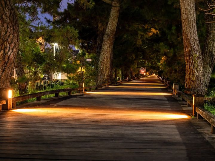 All About ニュース編集部が全国228人を対象に実施した「中部地方のお月見スポットに関するアンケート」の調査結果から、好き＆行ってみたい「静岡県のお月見スポット」ランキングを発表！ 2位「三保松原」を抑えた1位は？