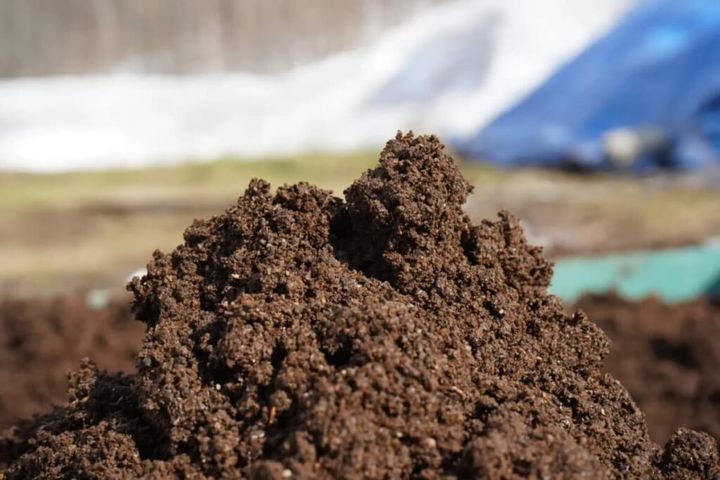 【画像】八百結び農法®を導入した農場の壌