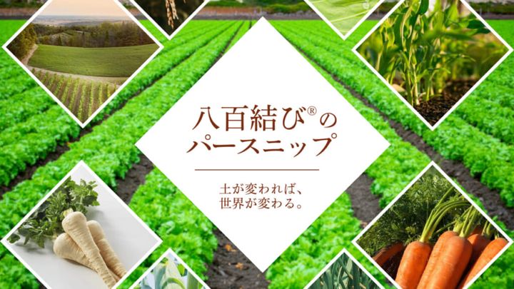 【画像】「八百結び®のパースニップ」のアイキャッチ