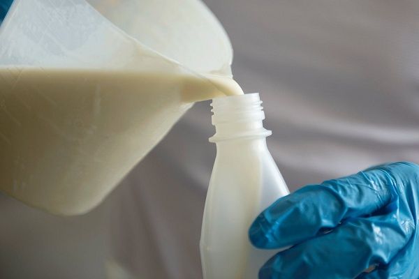 【宮崎県椎葉村】「豆腐の盛田屋」が“幻の豆乳”を贅沢に使った「ゆき肌豆乳ジェラート」を限定販売！