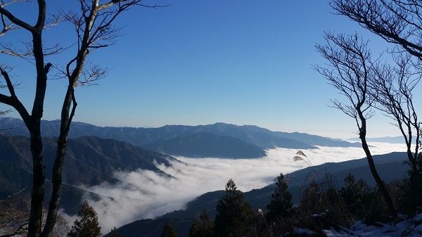 【宮崎県椎葉村】「豆腐の盛田屋」が“幻の豆乳”を贅沢に使った「ゆき肌豆乳ジェラート」を限定販売！