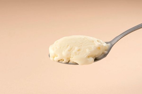 【宮崎県椎葉村】「豆腐の盛田屋」が“幻の豆乳”を贅沢に使った「ゆき肌豆乳ジェラート」を限定販売！