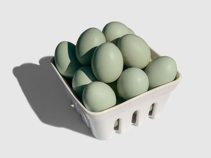 卵の「赤玉」は栄養価が高いってホント！？「白玉」との違いはまさかの理由！！