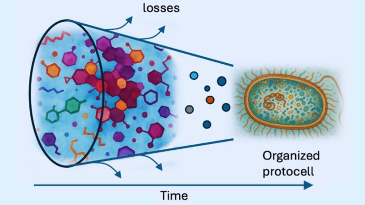 無数の有機化合物が情報を積み上げて生命になる様子