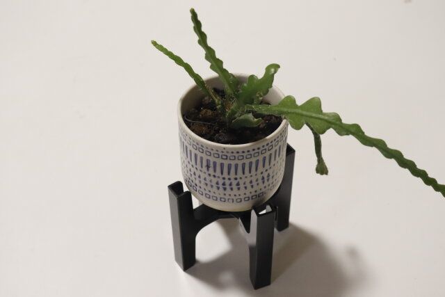 折りたたみ鉢置台 使用例
