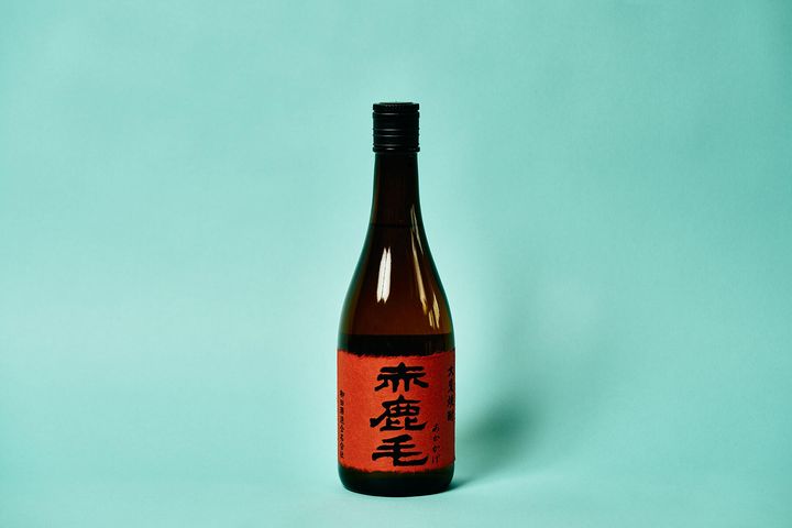 柳田正さんのデビュー作「赤鹿毛」