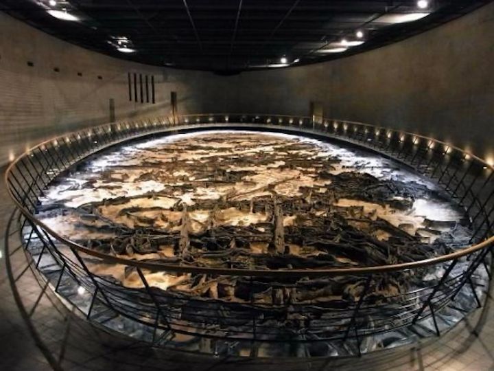 地底の森ミュージアム