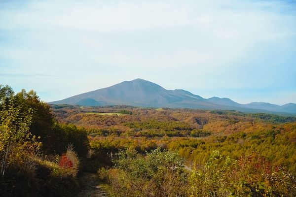 【群馬県長野原町】北軽井沢のヴィラリゾート「あさま空山望」で楽しむ絵本と紅葉の秋限定宿泊プラン