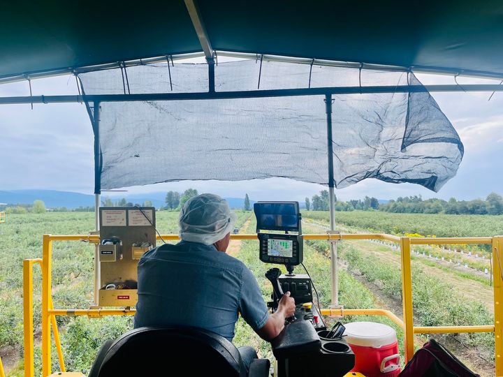 ブルーベリーは美容効果抜群のスーパーフード！ バンクーバーでの収穫＆リトリート体験レポ。