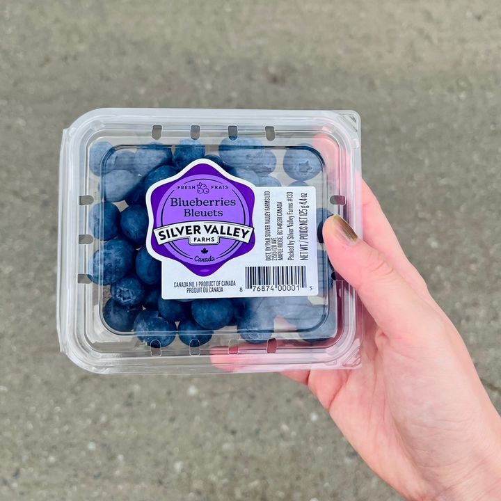 ブルーベリーは美容効果抜群のスーパーフード！ バンクーバーでの収穫＆リトリート体験レポ。