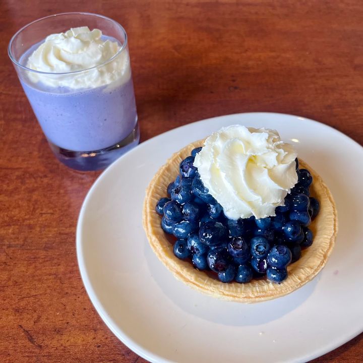 ブルーベリーは美容効果抜群のスーパーフード！ バンクーバーでの収穫＆リトリート体験レポ。