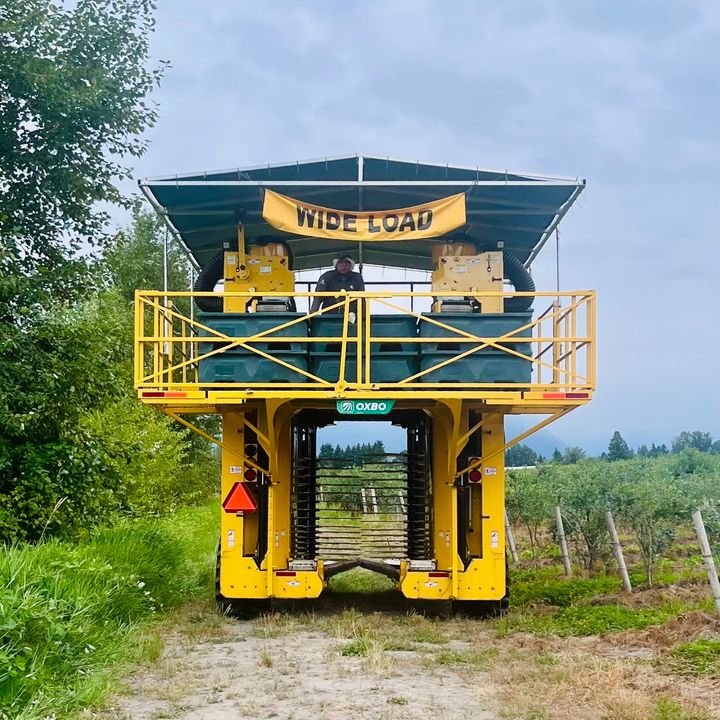 ブルーベリーは美容効果抜群のスーパーフード！ バンクーバーでの収穫＆リトリート体験レポ。