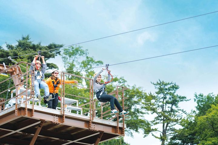 興奮＆感動！【旅好き50代女性が選ぶアウトドア】この秋に行きたいジップライン、自然観察スポットを紹介