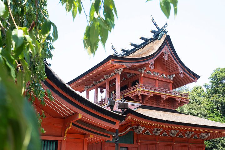 国の重要文化財に指定されている本殿