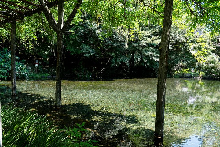 2008年環境省「平成の名水百選」の一つに選定