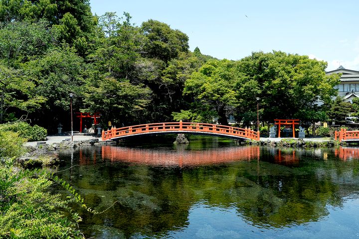 玉が湧くように水が湧く様子から名付けられたといわれています