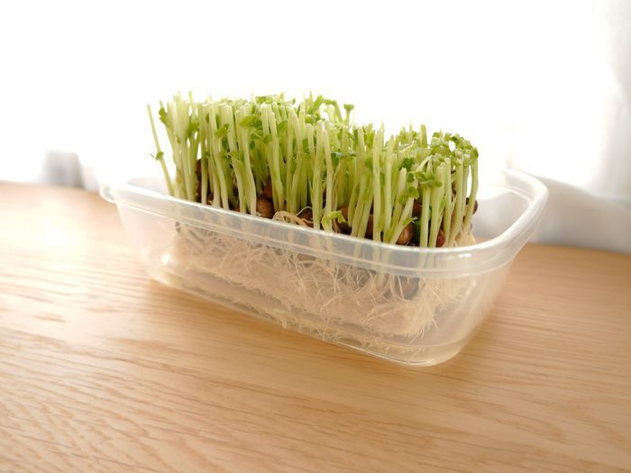 置き場所に困る「タッパー＆保存容器」はこうして収納！スッキリ片付く〈3つのルール〉