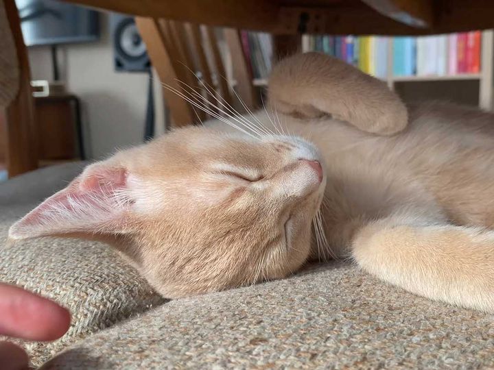 だんだんとろ〜んとしてきて…