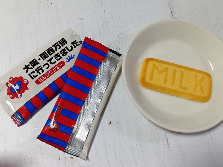 【関西万博】行ってきた～！のワクワク感が満載！秋にぴったりな公式ショップの万博スイーツ！