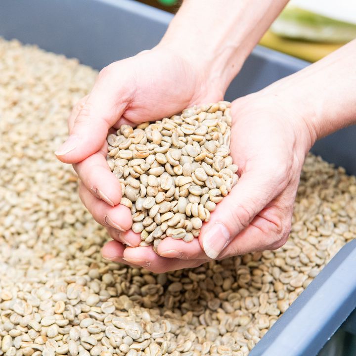 品質を支える厳格な豆選びの基準