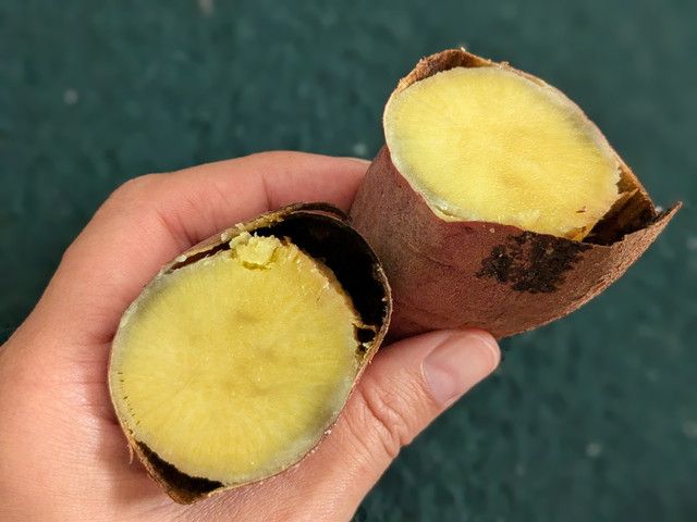 ファミマのお芋掘り