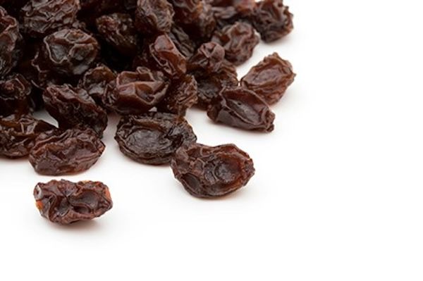 鎌倉小川軒37周年創業祭開催！看板商品「レーズンウィッチ」を特別価格で限定販売