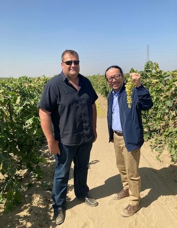 鎌倉小川軒37周年創業祭開催！看板商品「レーズンウィッチ」を特別価格で限定販売