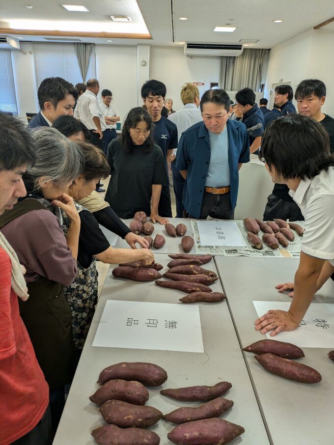 等級ごとに並べたものを見る