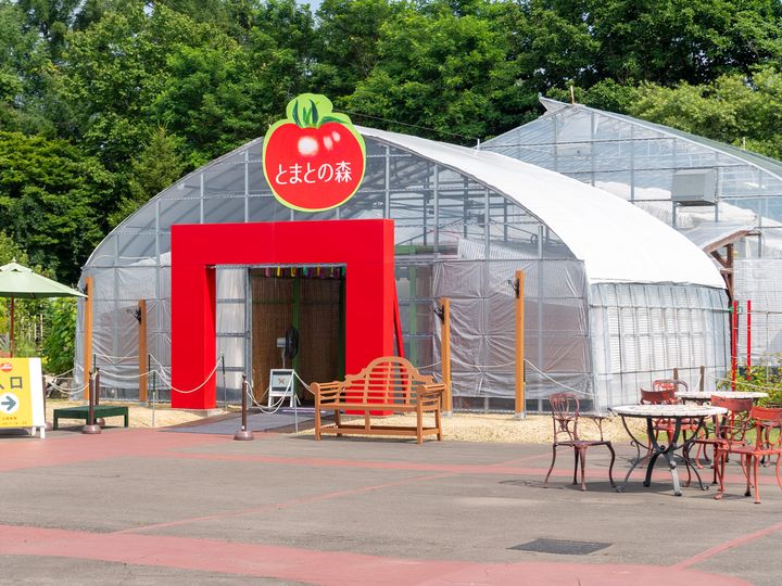 世界一大きなトマトの木「とまとの森」