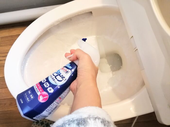 わが家ではトイレブラシを置いていません。きれいをキープする簡単お掃除術！