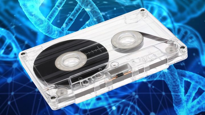DNAカセットテープは人類の全音楽を保存できる