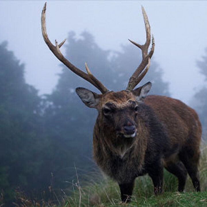 一度は泊まりたい、全国の天体観測のできる宿14選